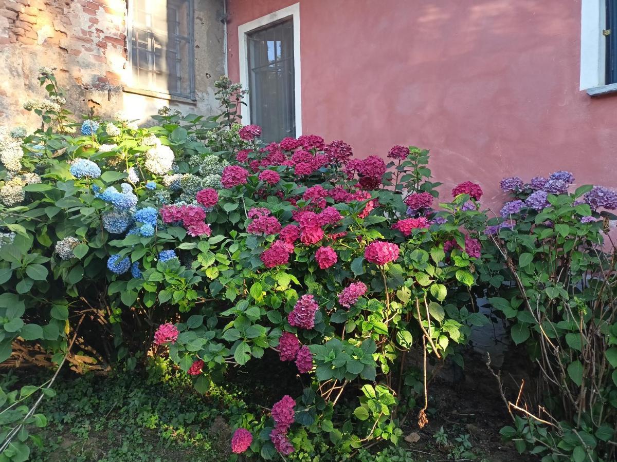 A Romantic Suite In The Countryside Near Torino Pecetto Exterior foto